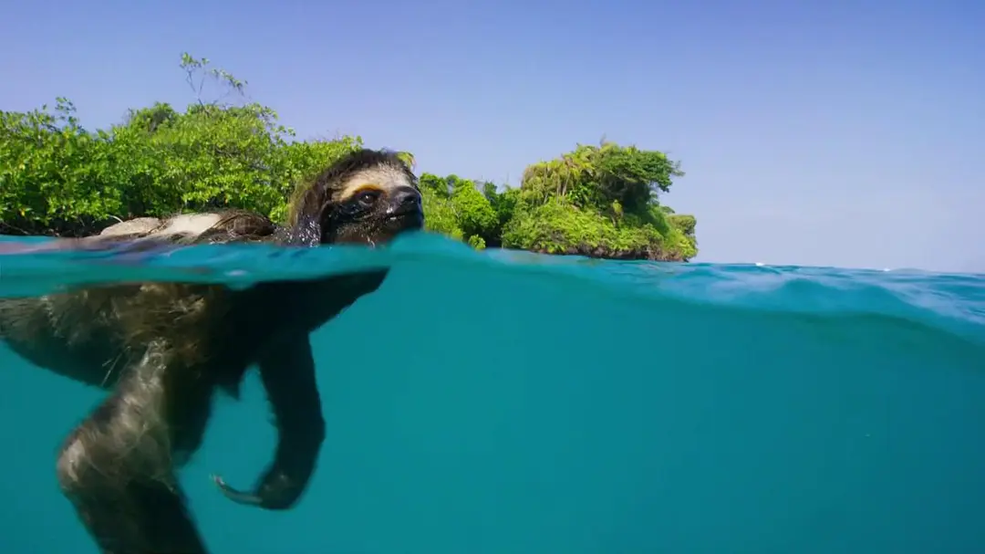Planet Earth II: Explore Nature’s Most Breathtaking Moments