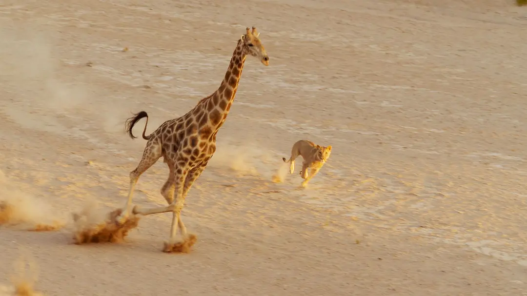 Planet Earth II: Explore Nature’s Most Breathtaking Moments