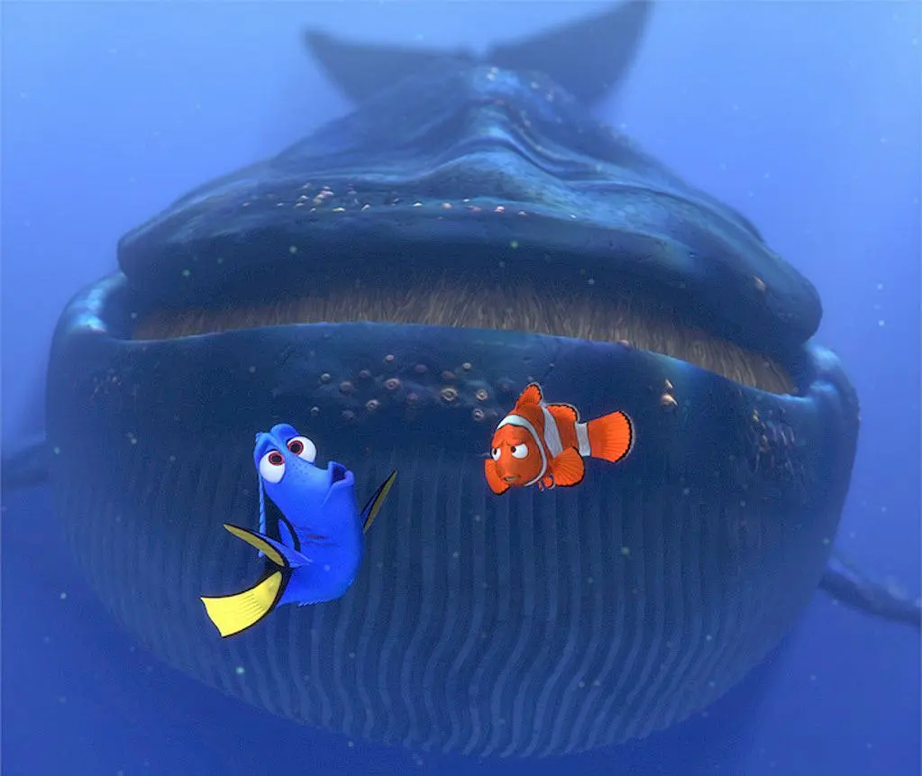 Finding Nemo