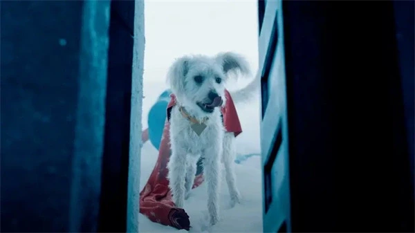 Krypto, wearing a red cape, enters through a door in "Superman".