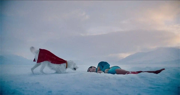 Krypto with a red cape approaches a fallen hero in snowy terrain in "Superman".