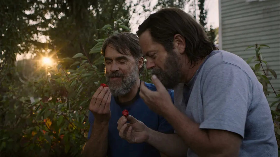 The Last of Us Season 1: A Journey of Survival